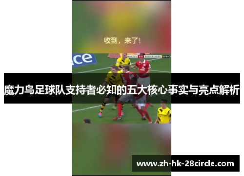 魔力鸟足球队支持者必知的五大核心事实与亮点解析