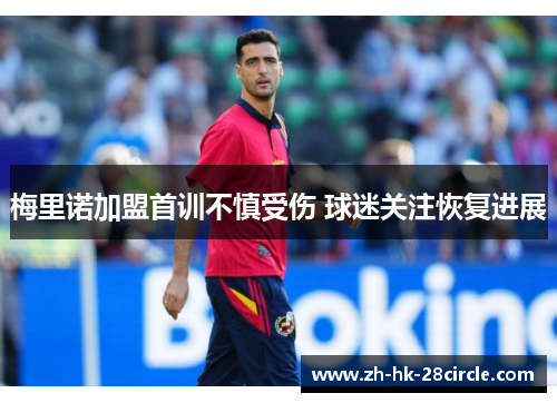 梅里诺加盟首训不慎受伤 球迷关注恢复进展