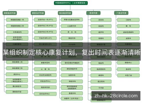 某组织制定核心康复计划,复出时间表逐渐清晰 某组织制定核心康复计划,复出时间表逐渐清晰
